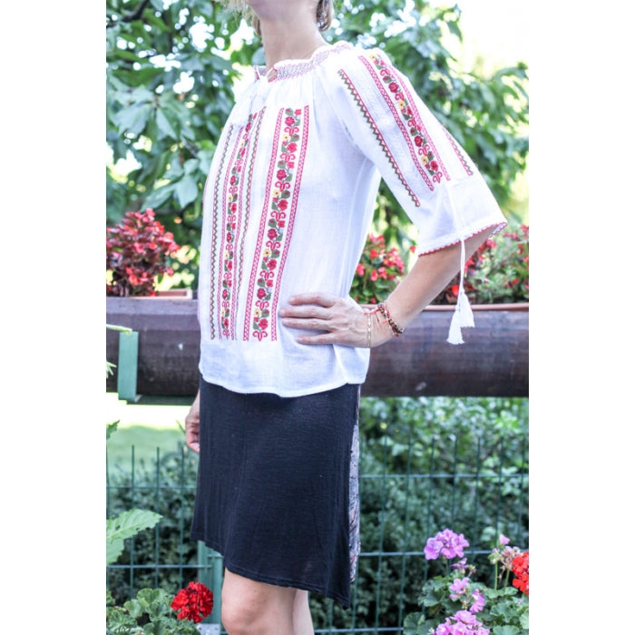 Ie Traditionala Aurora2